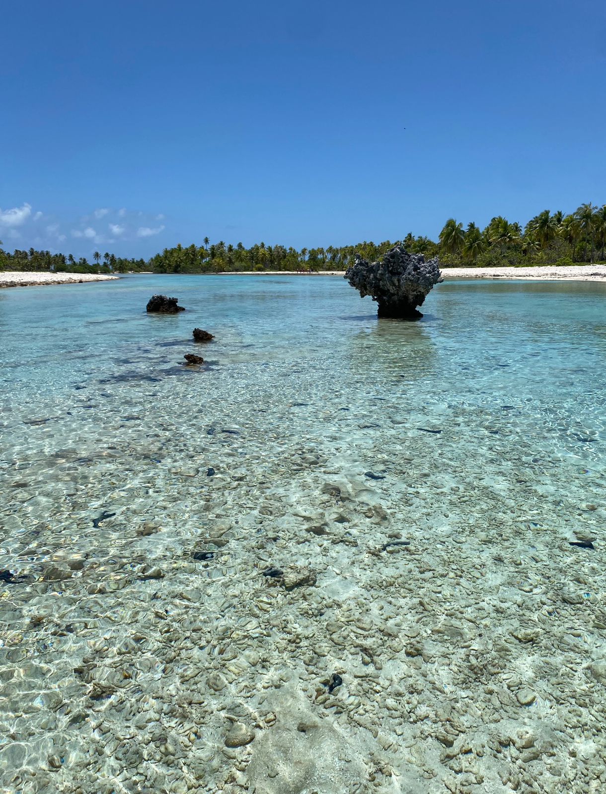 Ile au récif